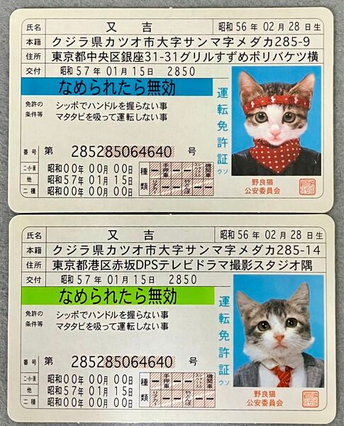 なめ猫 免許証カード2枚④