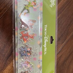ファンタジースプリングス ピーターパン キーチェーン新品