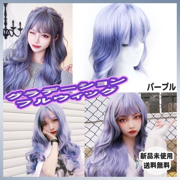 新品未使用 グラデーション フルウィッグ かつら レディース コスプレ 仮装 ロリータ レディース 自然 セミロング 耐熱ウィッグ