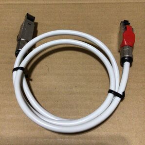 THE CHORD COMPANY C-stream Streaming LAN 0.75m カスタム品 美品 コードカンパニー