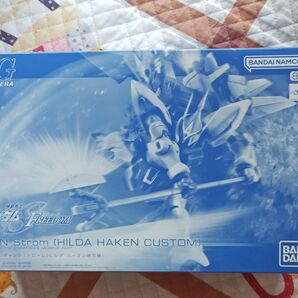 HG ギャンシュトローム ヒルダ ハーケン専用機 機動戦士ガンダムSEED FREEDOM ギャン 機動戦士ガンダム バンダイ