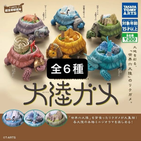 大陸ガメ 全6種セット コンプリート