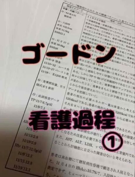 看護過程
