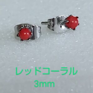 レッドコーラル3mm316Lシルバーピアス