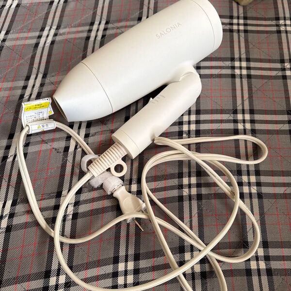 SPEEDY ION DRYER SL-013WH (ホワイト) サロニア