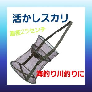 活かしスカリ 折り畳み 軽量 泳がせ釣り 友釣り 網 イケス 川 海