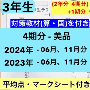 全国統一小学生テスト 3年生 2023年、2024年度 2年分 6月分と11月分