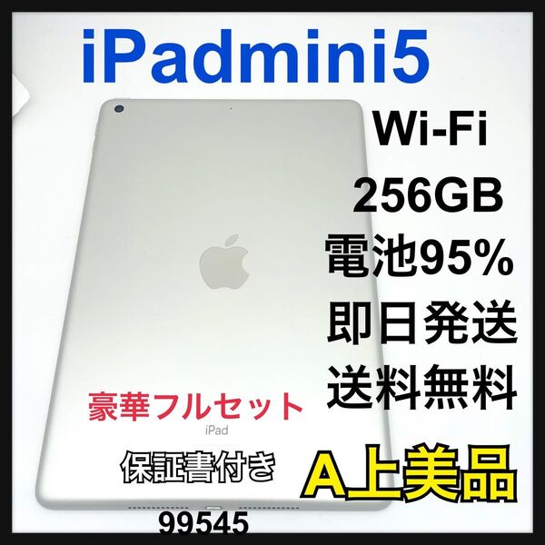 A 電池95% iPad mini 5 256 GB グレイ Wi-Fi 本体