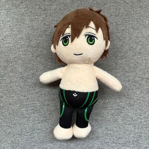 Free! ぬいぐるみ 橘 真琴