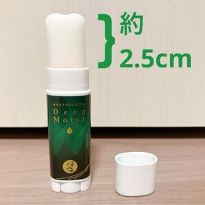メンソレータム ディープモイスト 薬用リップスティックOM メントール
