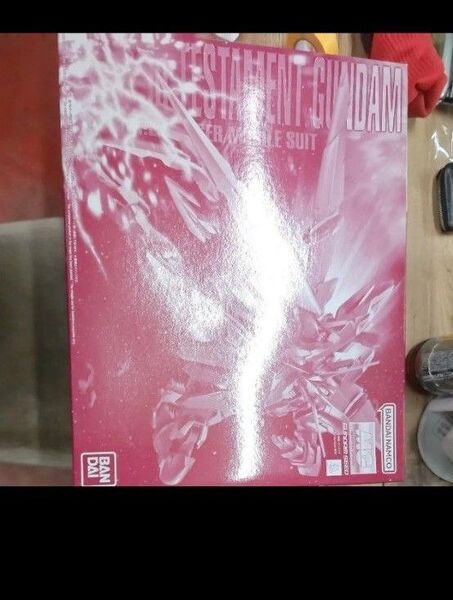 MGテスタメントガンダム プラモデル 未組立