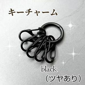 キーホルダー キーチャーム 韓国 カラビナ バッグチャーム 黒 ブラック キーリング メタリック ツヤあり 男女兼用 ユニセックス