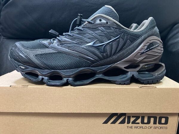 VAINLARCHIVE Mizuno WaveProphecy LS VAヴァイナルアーカイブ ミズノ ウェーブプロフェシー