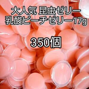 【人気昆虫ゼリー】高タンパク 乳酸ピーチゼリー17g 350個 クワガタ カブトムシ オオクワ ドルクスゼリー プロゼリー すこやかゼリー
