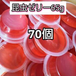 【人気昆虫ゼリー】高タンパク 乳酸ピーチゼリー17g 70個 クワガタ カブトムシ オオクワ ドルクスゼリー プロゼリー すこやかゼリー