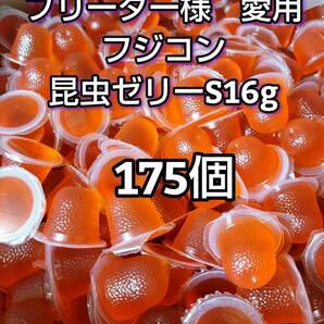 【人気昆虫ゼリー】フジコン 昆虫ゼリーS16g 175個 クワガタ カブトムシ オオクワ ドルクスゼリー プロゼリー すこやかゼリー