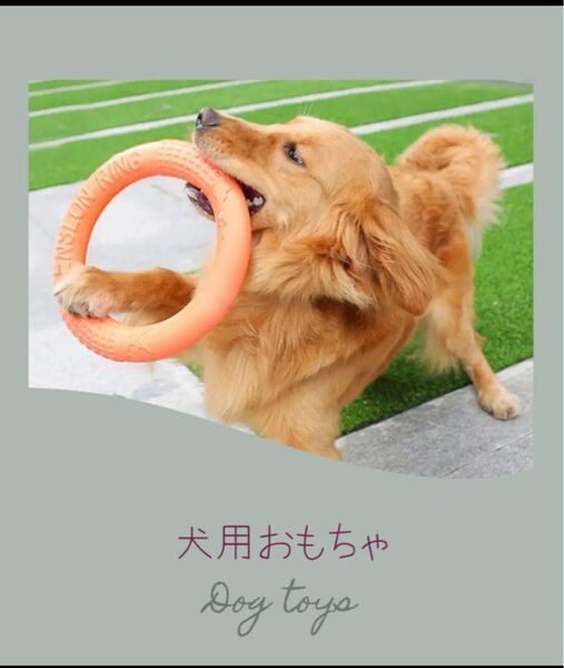 【新品未使用】犬用おもちゃ リングフリスビー(オレンジ)