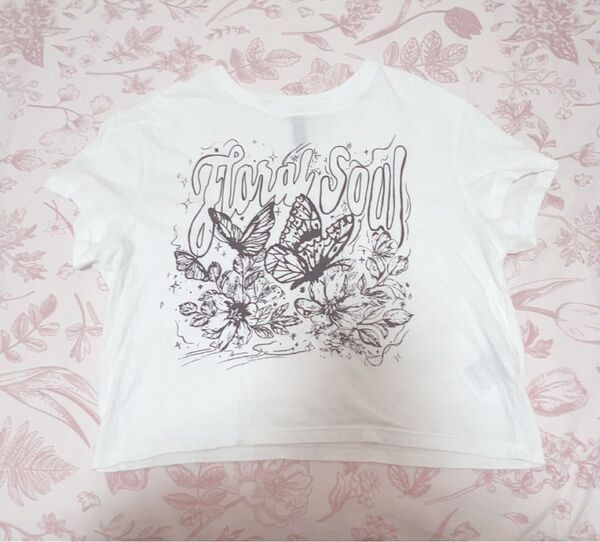 H&M 蝶々半袖クロップド丈Tシャツ