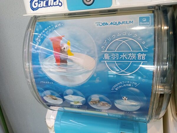 鳥羽水族館 限定 ガチャ