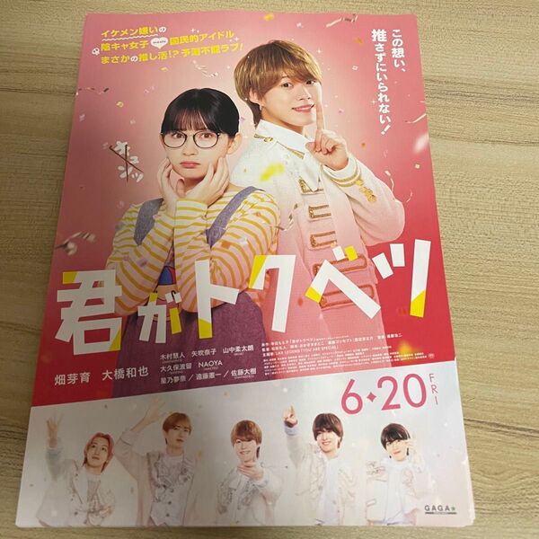 君がトクベツ フライヤー 5枚セット