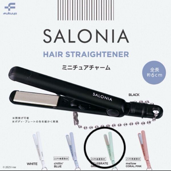 SALONIA サロニア ミニチュアチャーム ガチャ