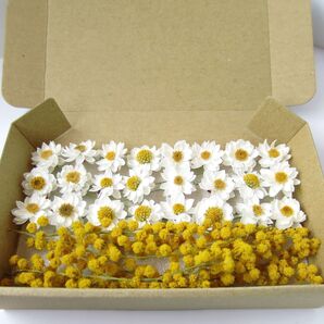 ドライフラワー 花かんざし ミモザ