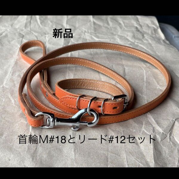 新品 レザー首輪M#18とリード#12セット オレンジ
