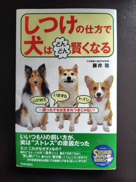 しつけの仕方で犬はどんどん賢くなる