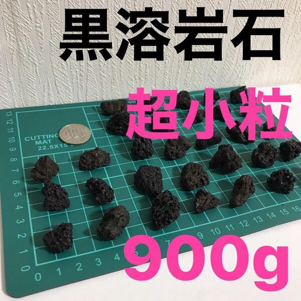 黒溶岩石 超小粒 900g アクアリウム テラリウム コゲリウム 水草 ADA