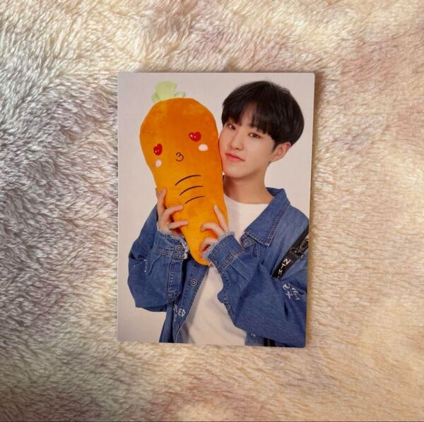 seventeen ホシ トレカ