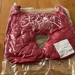 ヒステリックミニ スペースツアネックピロー 新品未開封 廃盤 限定 希少