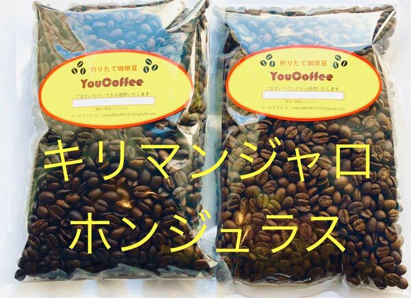 コーヒー豆 セット キリマンジャロ タンザニアAA 180g ホンジュラス HG 180g YouCoffee