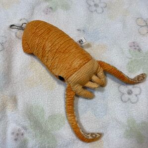 ダイオウイカ ぬいぐるみパスケース 海の生き物 深海