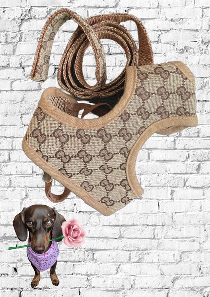 犬用ハーネス リードセット GGキャンバス