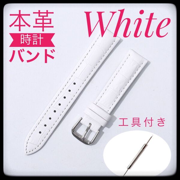 腕時計ベルト 12mm 本革 新品未使用 工具付き ばね棒2本付き