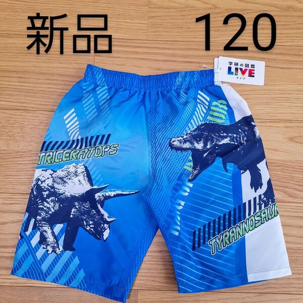 新品タグ付き 恐竜 学研の図鑑 LIVE 水着 男の子 キッズ 青 120