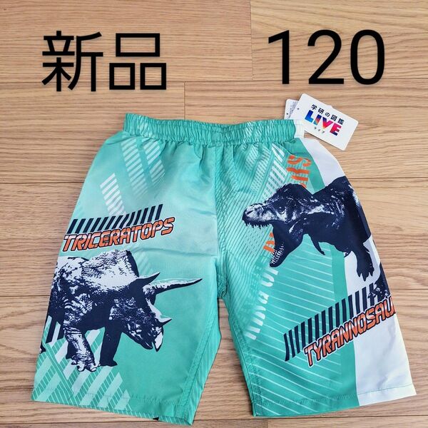新品タグ付き 恐竜 学研の図鑑 LIVE 水着 男の子 キッズ 緑 120