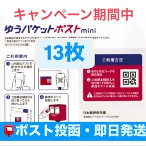 ゆうパケットポストmini 封筒 13枚 ゆうパケットポスト ゆうパケットポストミニ 専用封筒 ヘアゴム 1個
