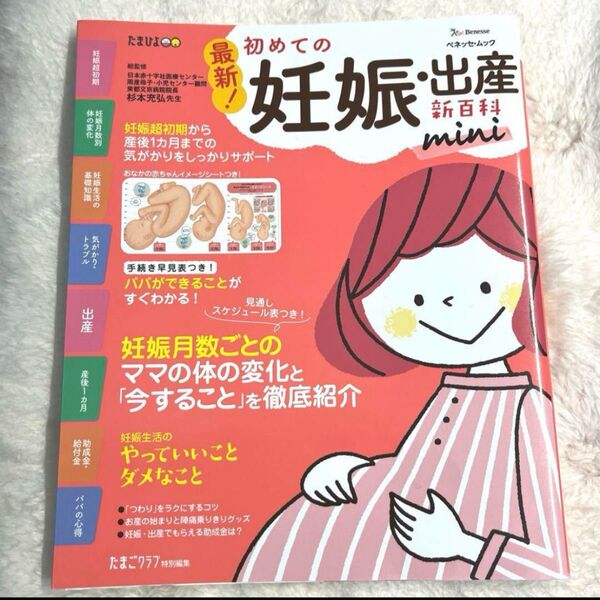 初めての妊娠出産新百科 mini