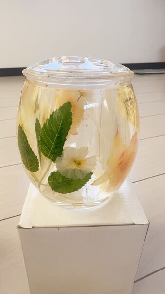 アクリル水中花 歯ブラシスタンド
