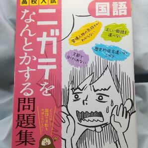 【未使用に近い】高校入試ニガテをなんとかする問題集国語