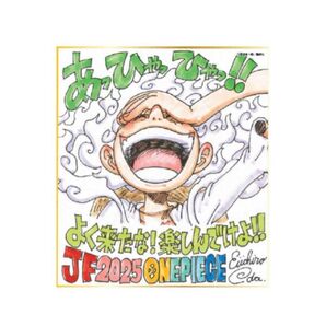少年ジャンプ ONEPIECE デジタル版少年ジャンプ 応募者全員サービス 複製ミニ色紙 ワンピース
