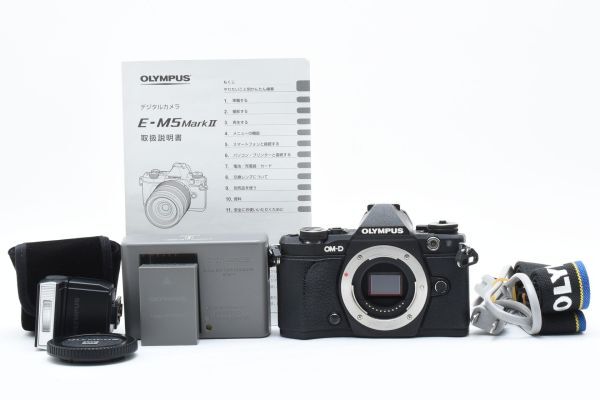 2025年最新】Yahoo!オークション -om-d e-m5 mark iiの中古品 2025年最新】Yahoo!オークション -om-d e-m5 mark iiの中古品