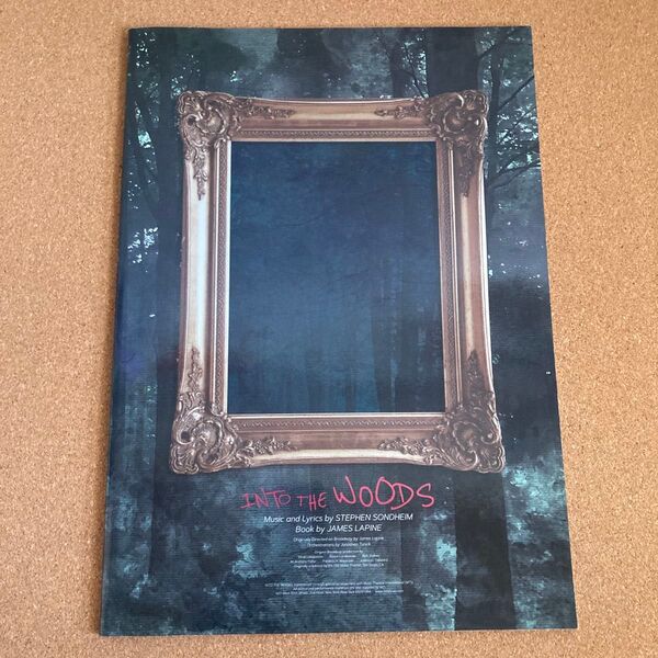 INTO THE WOODS パンフレット 本 演劇 イントゥ ザ ウッズ 羽野晶紀 古川琴音 毬谷友子 湖月わたる 朝海ひかる