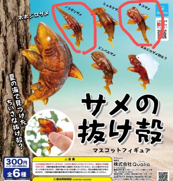 サメの抜け殻 マスコットフィギュア ノコギリザメ ネコザメ