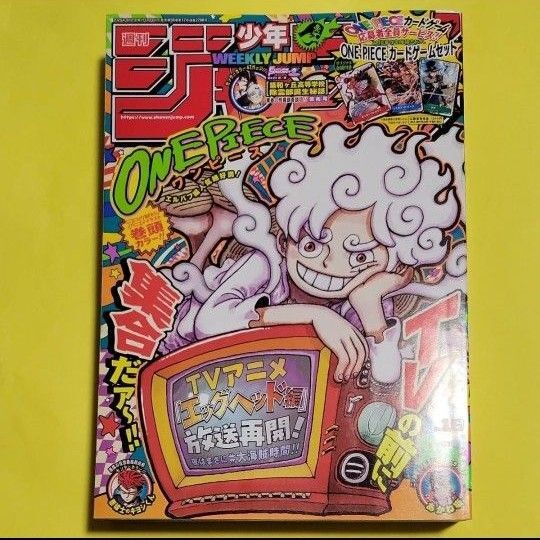週刊少年ジャンプ 19号 2025年4月21日号 (集英社)応募シート ジャンプチケットなし