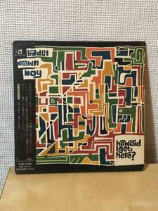 貴重！サンプル！ Badly Drawn Boy 『How Did I Get Here?』