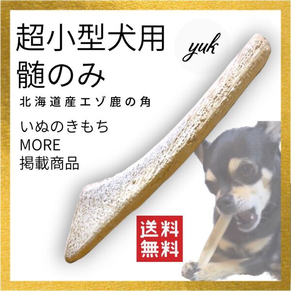【パピーもOKな柔らかい鹿角】超小型犬用 髄のみ 鹿の角 犬のおもちゃ 鹿の骨