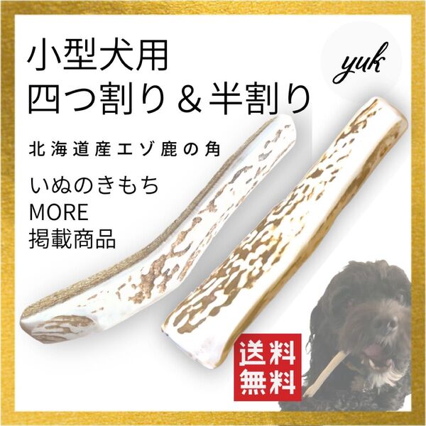 【送料無料】小型犬用 四つ割り&半割り 鹿の角 犬のおもちゃ 鹿の骨