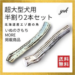 【鹿の骨より長持ち】超大型犬用 半割り 2本セット エゾ鹿の角 犬のおもちゃ 鹿の骨
